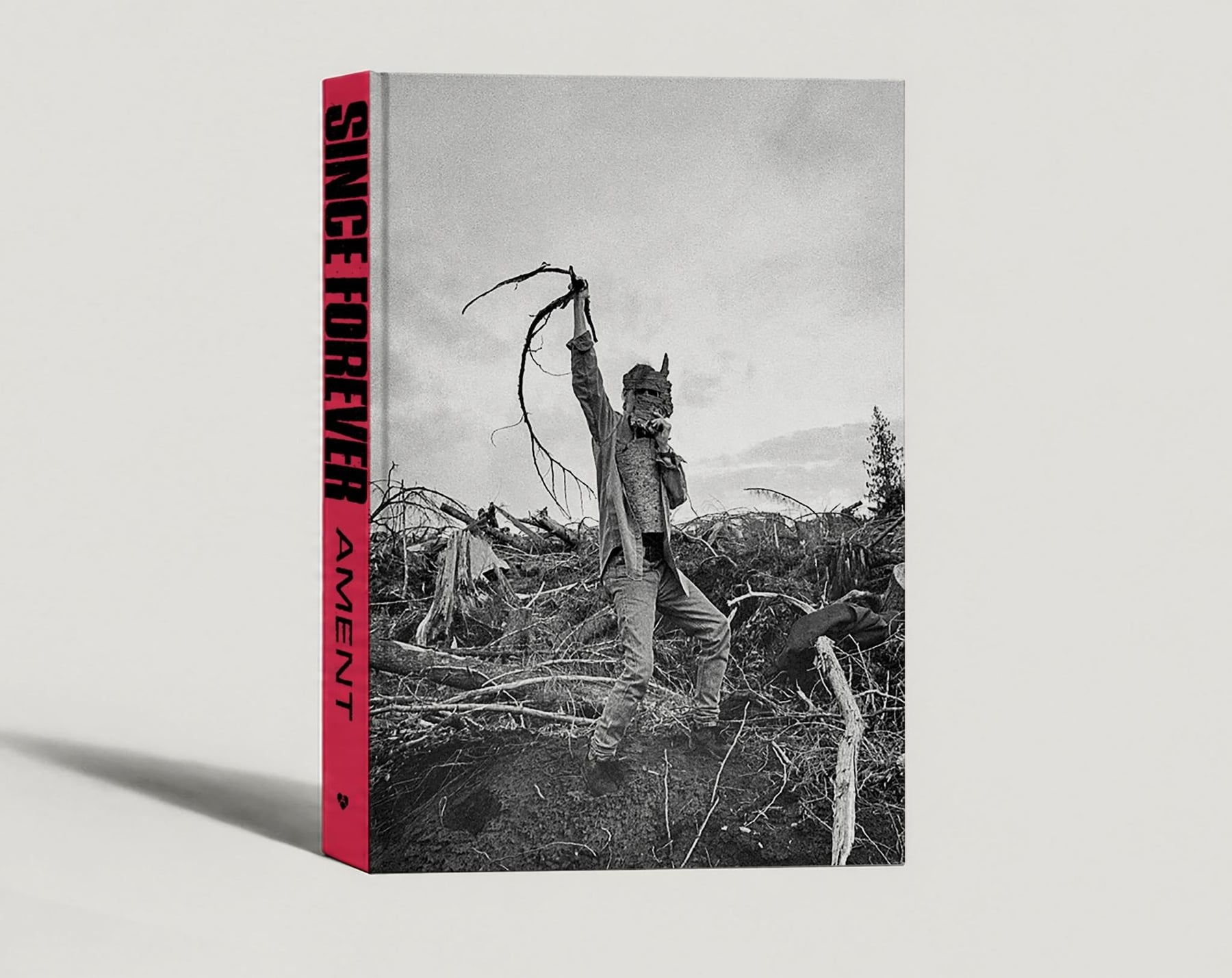 Since Forever: o livro de Jeff Ament que abre o bastidor do Pearl Jam