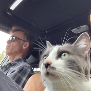 Foto de Matt Cameron circula entre fãs e provoca onda de nostalgia